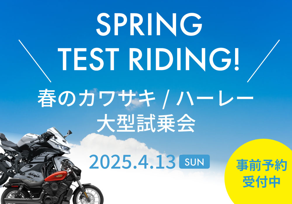 GX　タッグチームまとめ売り　226枚 ポケモンカード タッグチームGX TAGTEAM まとめ TAG TEAM GX 22枚